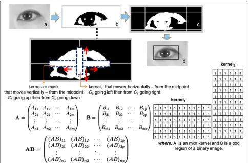 Fig. 6 The procedure of finding the minimum-bounding rectangle: (a) eye image, (b) result of our algorithm, (c)–(d) minimum-boundingrectangular form