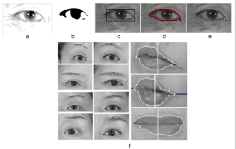 Fig. 8 Eye edges and corners