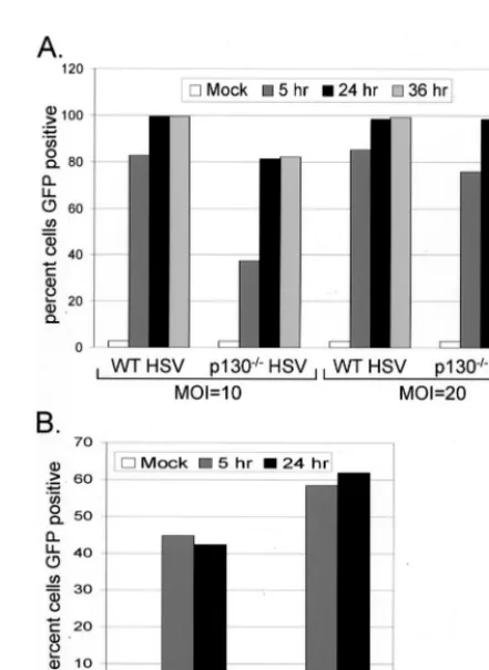 FIG. 2. One-step growth curve of HSV-1 on 3T3 cell lines. Sub-conﬂuent monolayers of WT and mutant cell lines were infected with