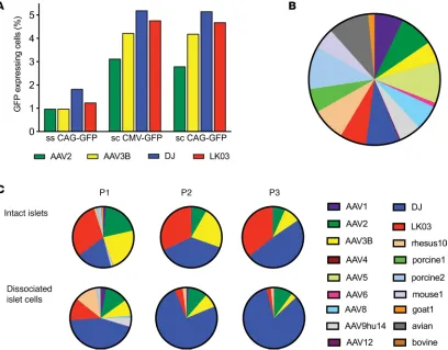 Figure 1. Evaluation of parental capsids for islet tropism. (with AAV2, AAV3B, DJ, and LK03 capsids at a MOI of 1,000, and transduction efficiency was determined by flow cytometry 48 hours after transduc-A) Dissociated islet cells were transduced with diff