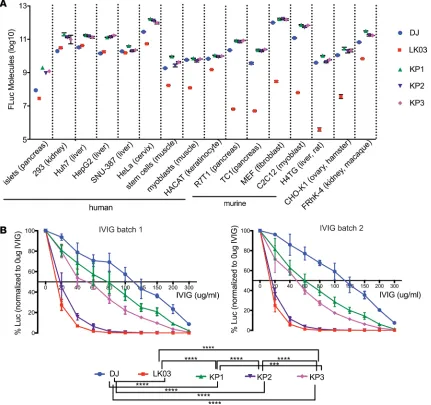 Figure 6. In vitro transduction experiments using rAAV-FLuc vectors. (A) Transduction efficiency of the capsids, as well as AAV-DJ and AAV-LK03 capsids, on a variety of human- and nonhuman-derived cell types