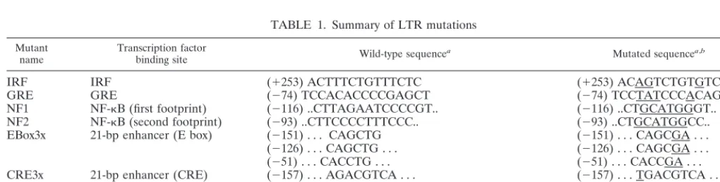 FIG. 1. Schematic representation of the mutations introduced inthe LTR. LTR sequences previously shown to be involved in transcrip-