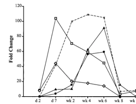 FIG. 3. IFN-inducible genes are expressed in distinct temporal pat-terns. Many of the IFN-inducible genes have overlapping patterns of