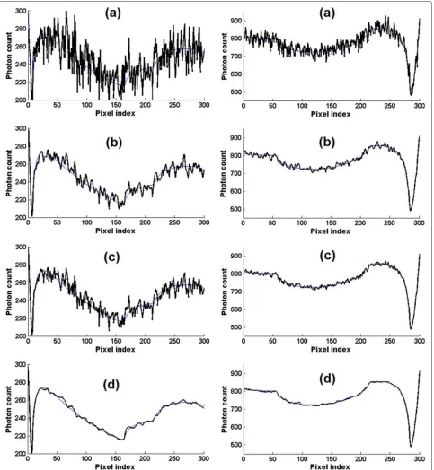 Fig. 1 Two typical one-dimensional profiles of the noisy and denoised projections simulated from the Shepp-Logan phantom