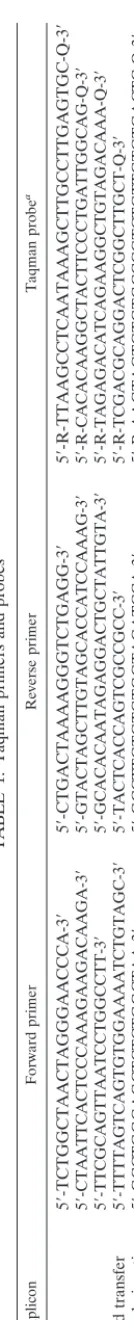 TABLE 1. Taqman primers and probes