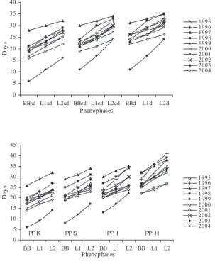 Fig. 1. The onset of the phenophases of parent stand (above) and natu-rally regenerated seedlings (below) since the 1 April (for a description of the phases see Methods)