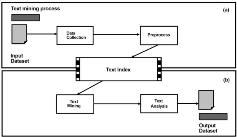Figure 3. Text mining process. (a) Input data text mining process composed by data collection and  preprocess; (b) Output data text mining process composed by text mining and text analysis
