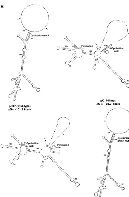 FIG. 2—Continued.