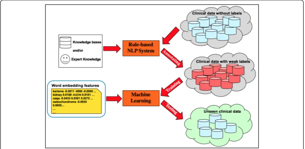 Fig. 1 The schema of clinical text classification paradigm using weak supervision and deep representation