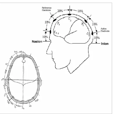 FIG 4: Shows 10 – 20 international system for electrode placemen 