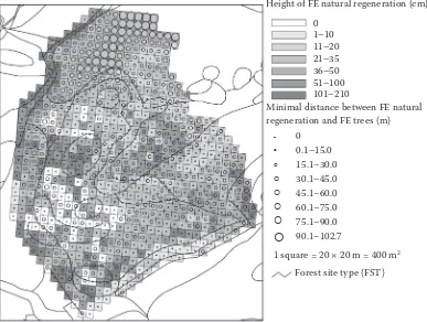 Fig. 3. Map of the density of FE natural regeneration with positions of fertile FE specimens