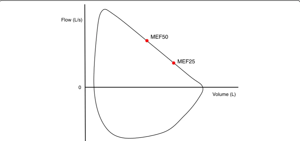 Fig. 1 Visual representation of maximal expiratory flow at 50% (MEF50) and 25% (MEF25) of forced vital capacity (FVC)