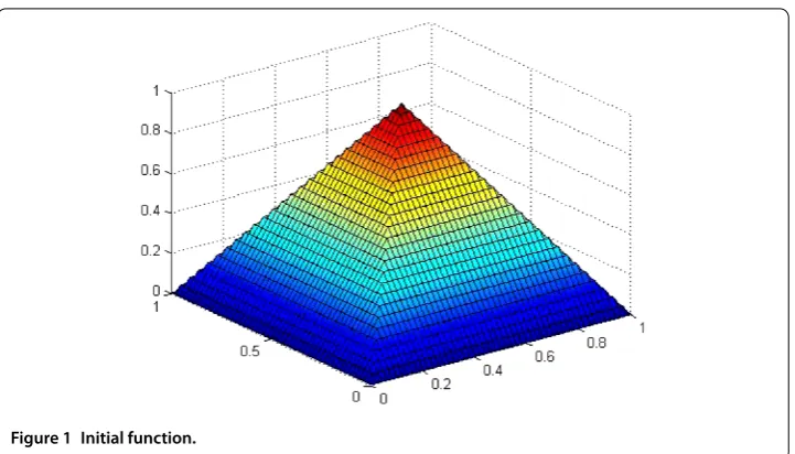 Figure 1 Initial function.