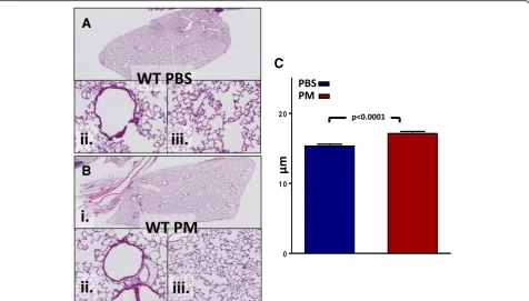Fig. 5 Application a. WT PBS b. WT PM Panel (i) at 2X, while (ii) & (iii) at 20X magnification