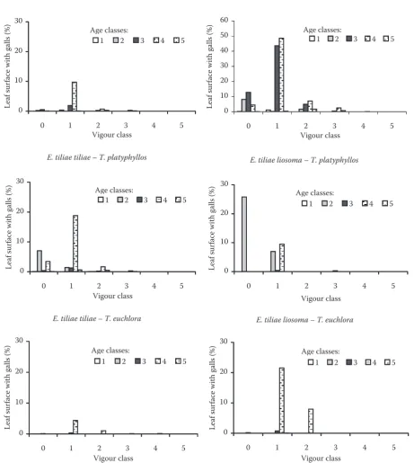 Fig. 3. Index of the attack of lime trees by subspecies tiliae and liosoma according to vigour and age classes