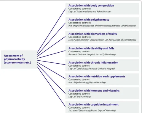 Figure 1 Planned projects and involved partners using the example of Physical Activity