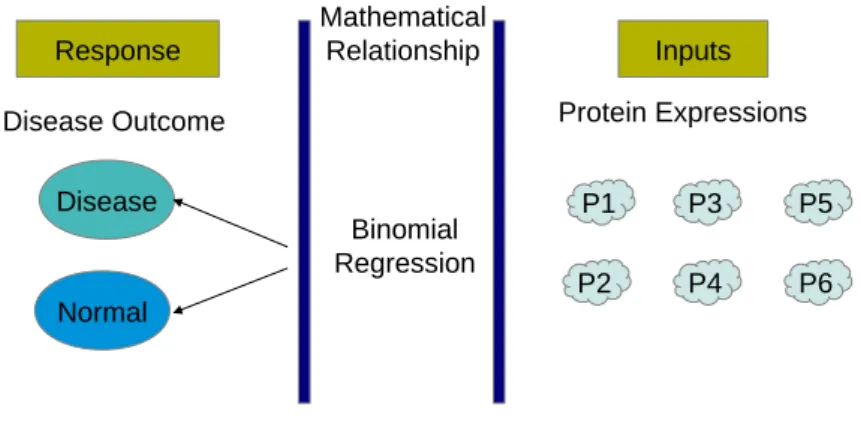 Figure 1.2.: A graphical depiction of a supervised learning problem in biology which in- in-volves characterizing the relationship between protein expression values and disease outcome