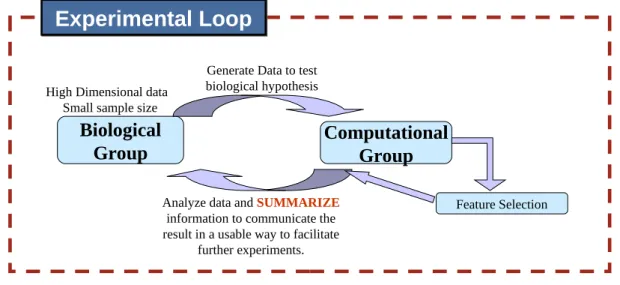 Figure 1.3.: A graphical depiction of the experimental loop which starts with data col- col-lection from a real-world application, for example analysis of data produced from biological experiments