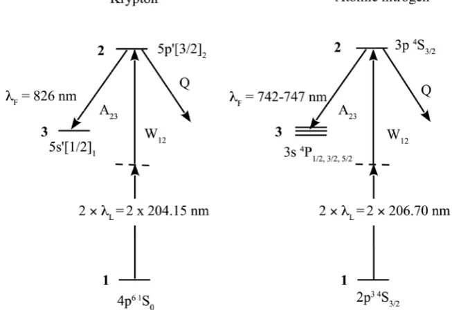 Figure 1. Two-photon excitation schemes of krypton and atomic nitrogen. 