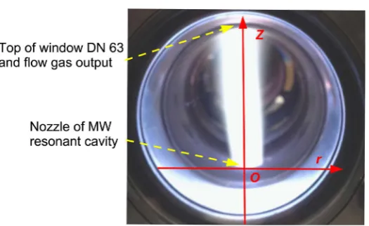 Figure 3. Schematic view of the TALIF experimental setup. 