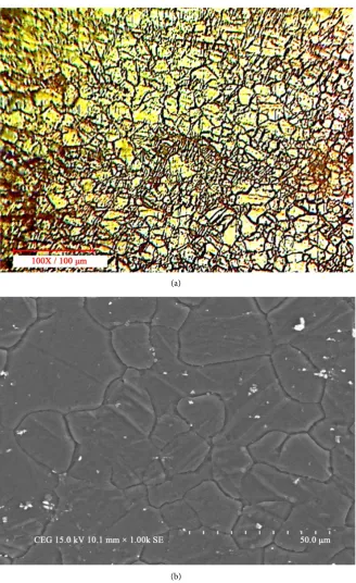Figure 9. (a) Optical micrographs and (b) SEM images of Received Material.  