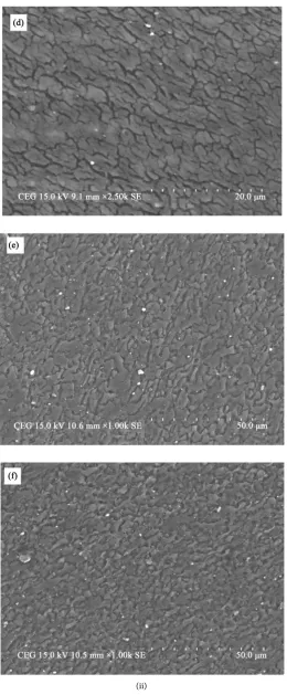Figure 10. Microstructure of FSP, SFSP and CFSP samples. (i) Optical microscope im-ages; (ii) SEM images
