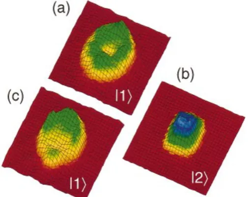 Figure 1.3: Experimental density proﬁles of the |2, 1⟩ + |1, −1⟩ rubidium mixturetaken from [20]