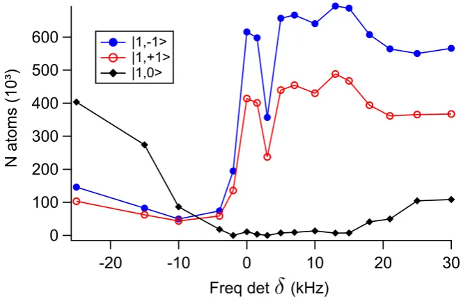 Figure 3.8: Population of the three Zeeman states 300 ms later the Rabi pulse asfunction of the detuning of the µ-wave applied