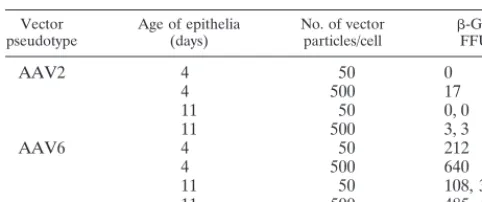 TABLE 2. Transduction of polarized human airway epithelia byAAV2 and AAV6 vectorsa
