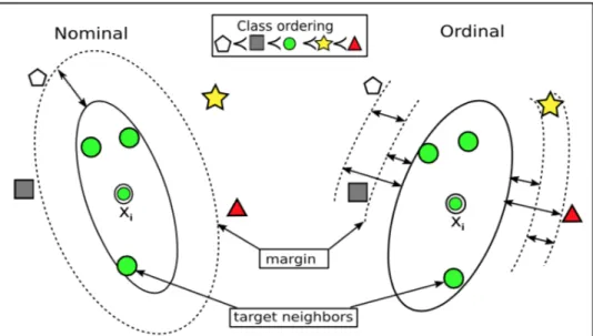 Figure 1 Local Neighborhood Ordered Classes vs Nominal Classes  