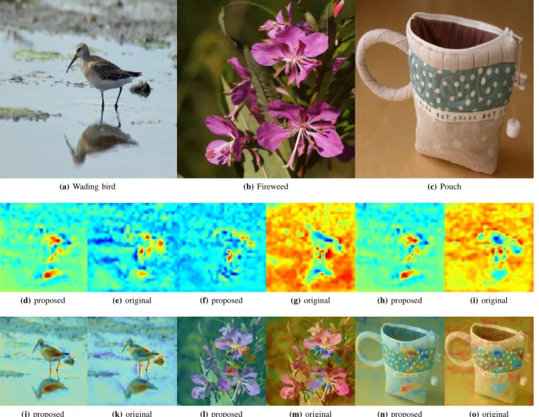 Fig. 6: The results of Class Activation Mapping (CAM) of DensNet-121 on several images taken from ImageNet