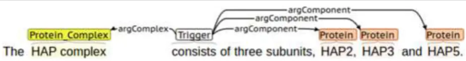 Fig. 11 Approach output using type 2 rules for protein complex and component relation extraction