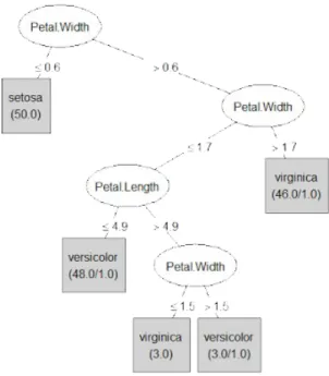 Figure 2.4: Decision Tree example on the Iris data-set, built using the well-known machine learning framework Weka.