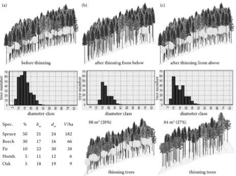 Fig. 8. Example of thinning from below and thinning from above: (a) before thinning, (b) after thinning from below, (c) after thinning from above