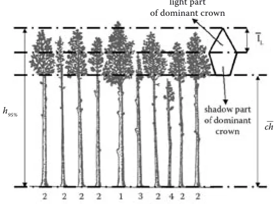Fig. 1. BIOSOC model