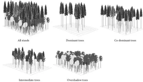 Fig. 2. Example of classiﬁcation by BIOSOC model
