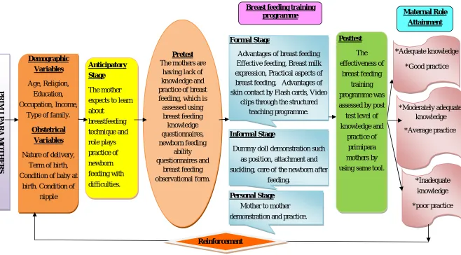 Fig. 1: MODIFIED REVA RUBIN’S MATERNAL ROLE ATTAINMENT THEORY (1960)