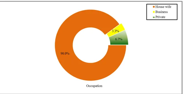 Fig. 6: Percentage distribution of occupation among primipara mothers 