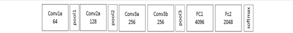 Fig. 4 The architecture of 3D CNN. 3D CNN network has 4 convolution layers, 3 max-pooling layers, and 2 fully connected layers, followed by asoftmax output layer