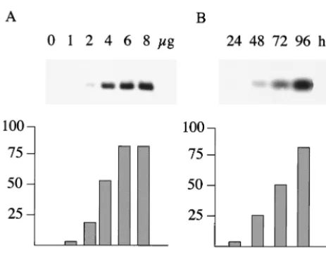 FIG. 4.(A) Dose response. 293 cells were transfected by the cal-cium phosphate method with increasing amounts of a p294:EcoJ plas-mid, with all transfections also receiving 0.25monitor transfection efﬁciency
