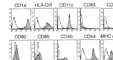 FIG. 1. Phenotypic analysis of immature MDDC by ﬂow cytometry.DC were derived from peripheral blood monocytes cultured for 6 to 7