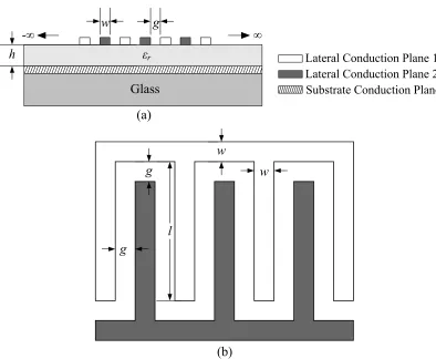 Fig. 2.1.  (a) Cross-sectional view of CBICPW and (b) top-down view of CBICPW. 