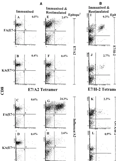 FIG. 1. Speciﬁc tetramer staining of splenic CD8�KA(E7cognate epitope as indicated (Immunised and Restimulated)