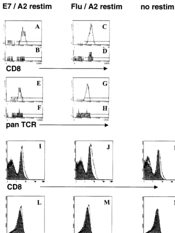 FIG. 6. CD8 and pan-TCR staining of T cells from E7/A2-immunized and inﬂuenza virus/A2-immunized FA(E7�on E7/A2 tetramerKA(E7) and KA(E7�) mice gated � cells (A, B, E, and F) or inﬂuenza virus/A2 tetramer� cells (C, D, G, and H) or total splenic T cells (I