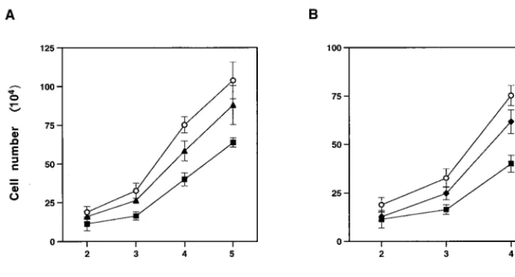 Fig. 4, we detected greater caspase-3 activity in MCF13 MLV-