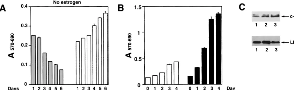 FIG. 9. Proliferation of pLIG.Notch1IC.H cell lines after long-term estrogen withdrawal