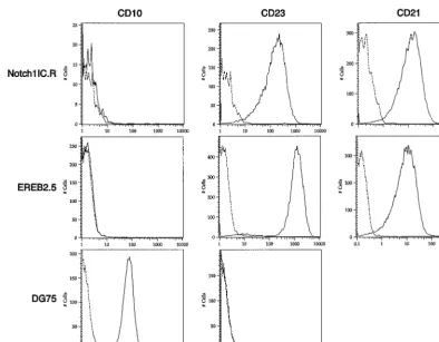 FIG. 10. CD23 and CD21 expression in Notch1IC expressing EREB2.5 cells grown without estrogen