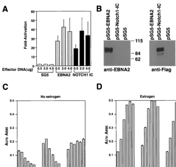 FIG. 5. Proliferation of EREB2.5 cells constitutively expressing Notch1IC after estrogen starvation