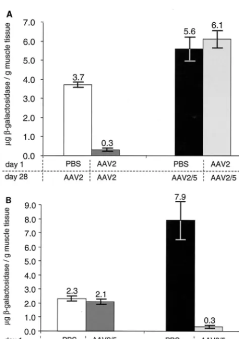FIG. 3. Prevalence of neutralizing antibodies (NAB) to AAV in ahuman population. Neutralizing antibody titers were determined as
