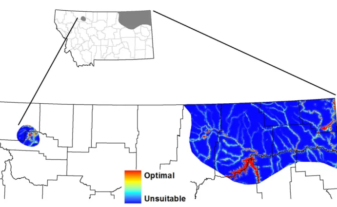 Figure 1. Continuous habitat suitability model output (logistic scale). 